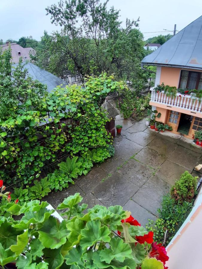 Pensiunea Covaciu Vadu Izei Exterior foto
