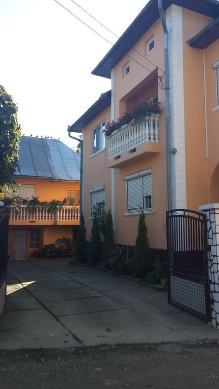 Pensiunea Covaciu Vadu Izei Exterior foto